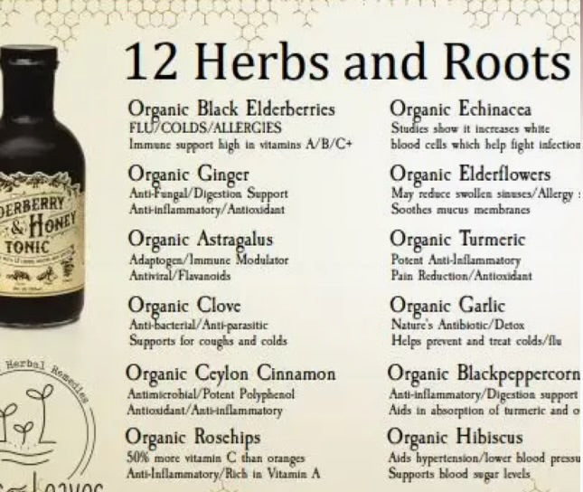 Elderberry & Honey Tonic, 16 oz