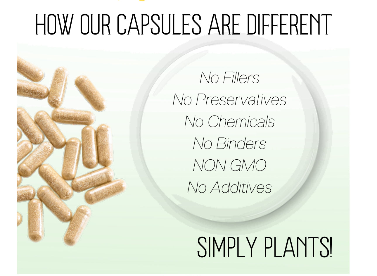 Mold, Parasite and Heavy Metal Detox - 60 Day Capsule Protocol