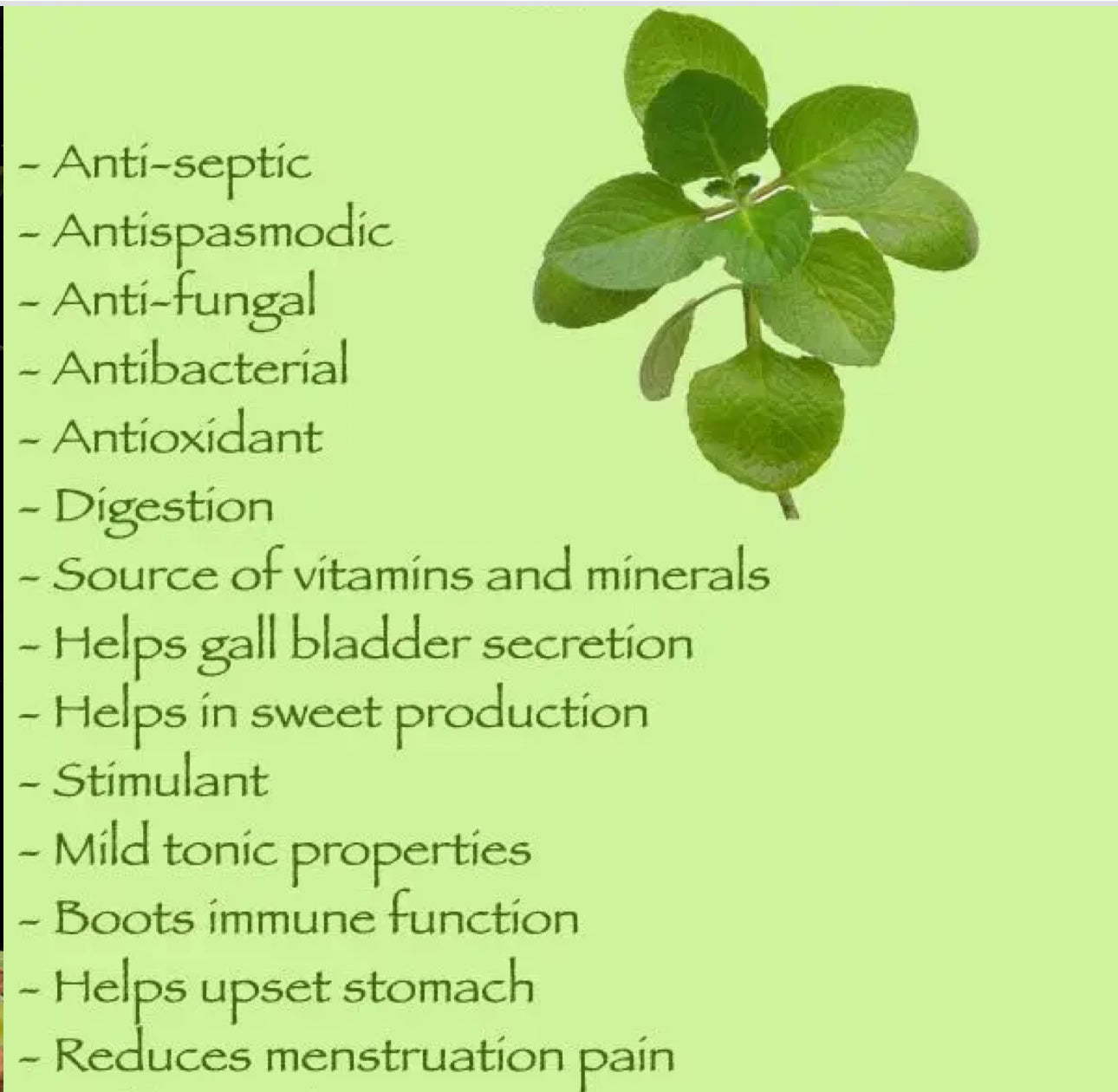2 oz Oil of oregano (1 year supply)