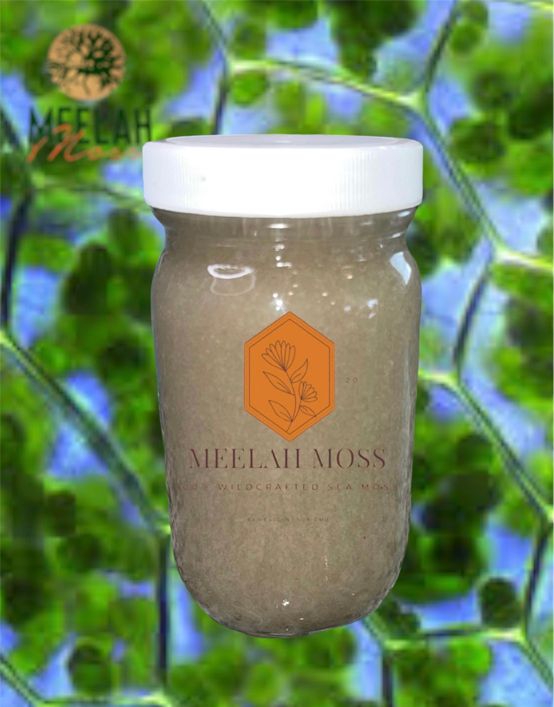 Chlorophyll (green) Sea Moss Gel