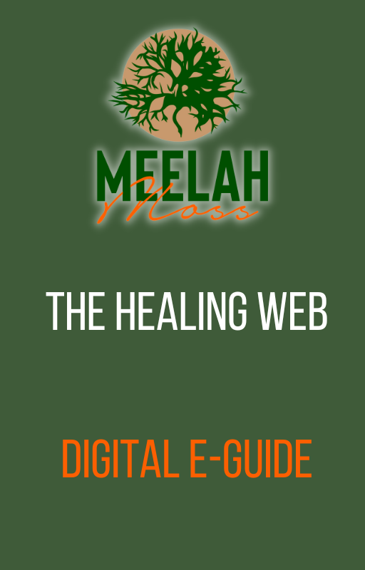 The Healing Web Digital E-Guide